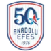 Anadolu Efes Istanbul